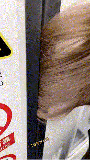 三个女人一台戏