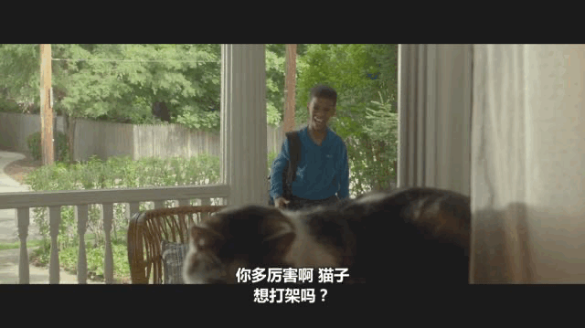 豆瓣年度冷门佳片,绝症女孩打开了极致“低情商”男孩的人生