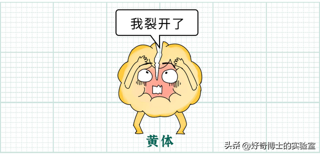 女性的身体，到底有多少不合理的地方？