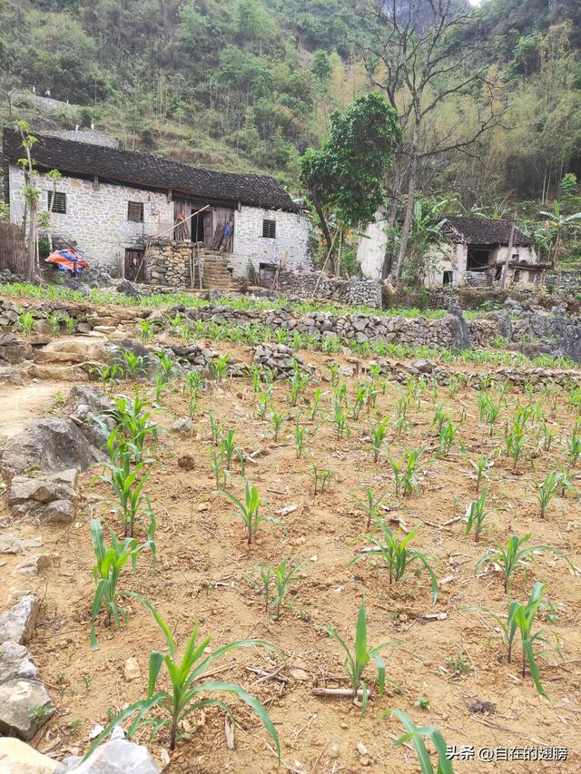 一个50岁的女人