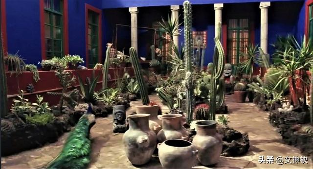 美艳女明星筹拍七年,被迫全裸出演,成就奥斯卡传奇女性电影