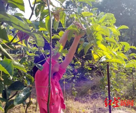 “百香果女童被奸杀案”再审改判凶手死刑 女童母亲：满意，将让女儿入土为安