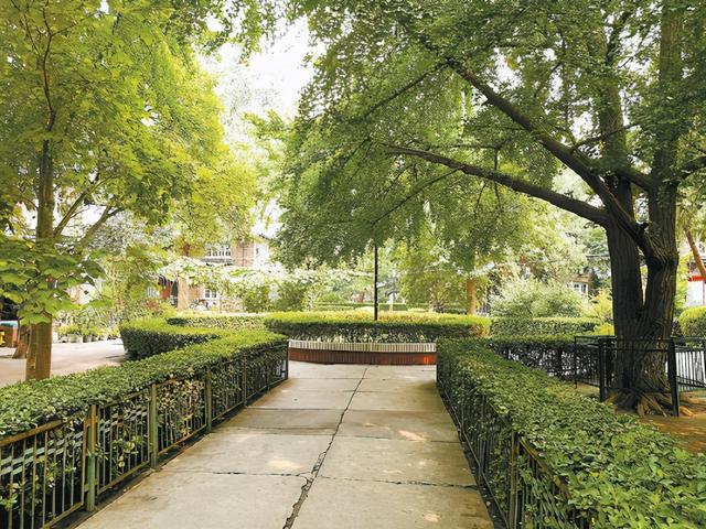 协和大院的三位“大医女神”