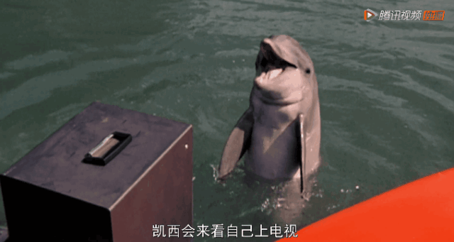 一位47岁美女的受虐实录