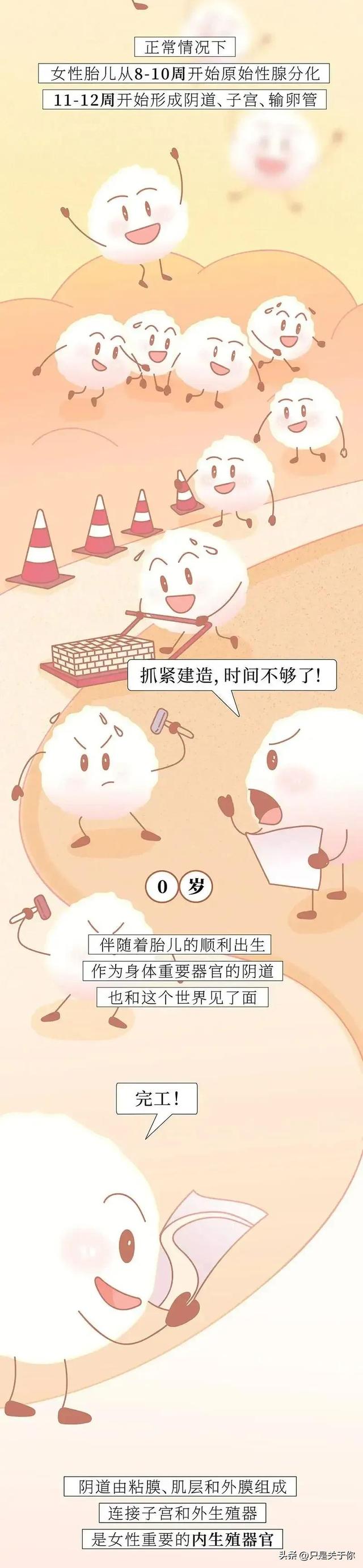 这是一篇关于女生阴道的科普漫画！