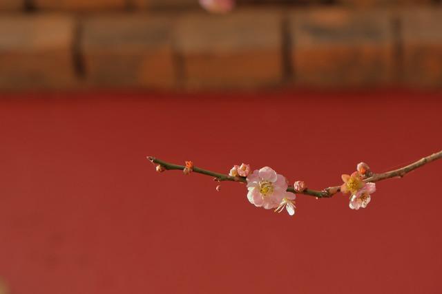 已婚女人出轨后，有以下五种表现