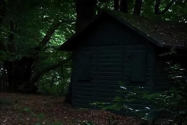 1980年，华裔学生痴迷美女老师，将其绑架囚禁53天，遭受非人折磨