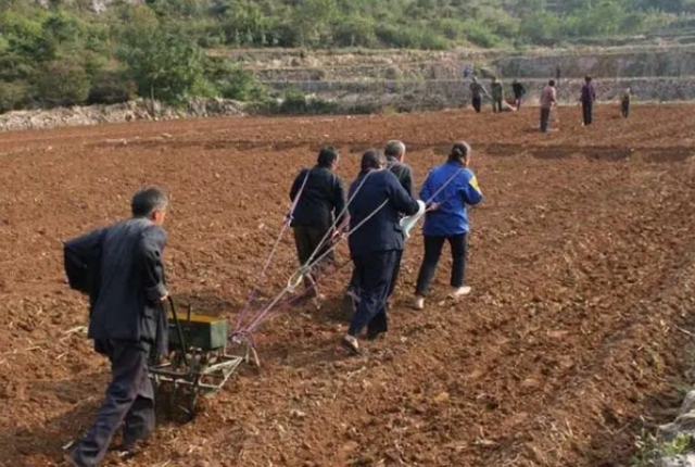 16年山东光棍迎娶22岁黑人美女，非洲美女：非他不嫁