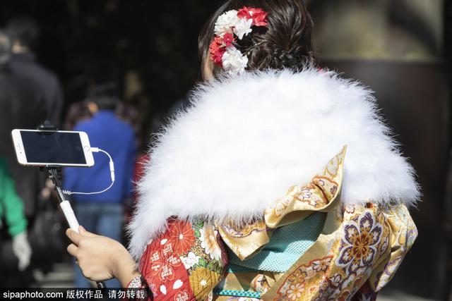 笑靥如花！日本明治神宫举行成人礼 年轻女孩身穿和服拍照