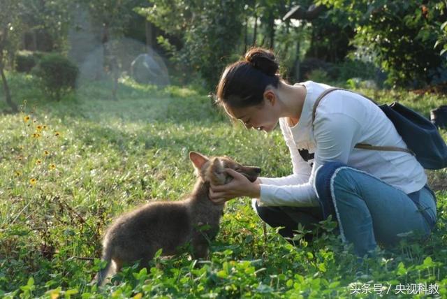 一位女画家的人狼情缘