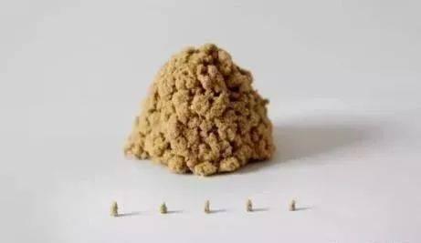 颧髎穴，脸上的穴位，治疗各种面部疾患，牙痛，脸部抽搐，歪嘴等