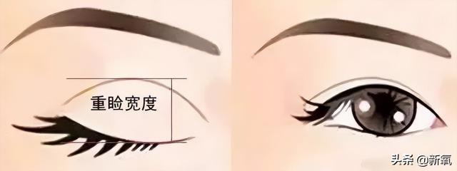 碰瓷刘亦菲还全网好评，姐这张脸真是集天地精华了吧