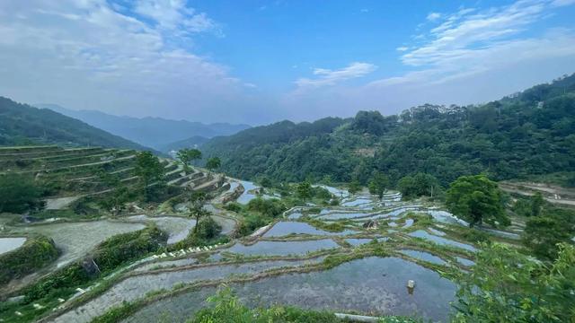 来电狂响:戴着镣铐起舞的众生情感生活,全被这部电影给拍出来了