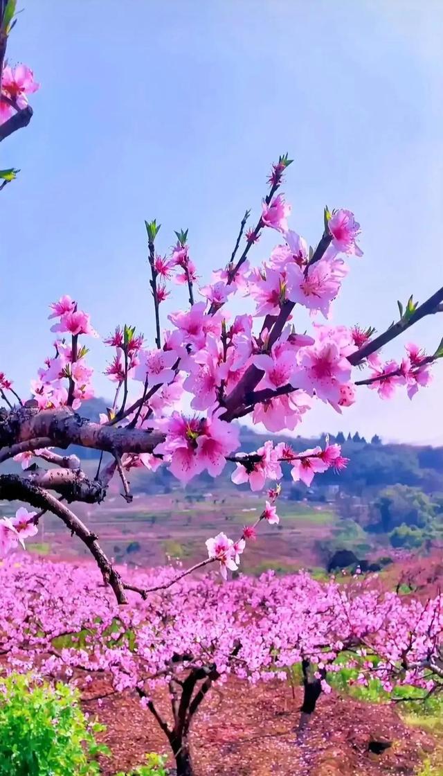 美丽的心灵，女人一生的修行