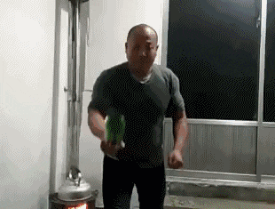 超级搞笑gif动图美女动物笑图10张