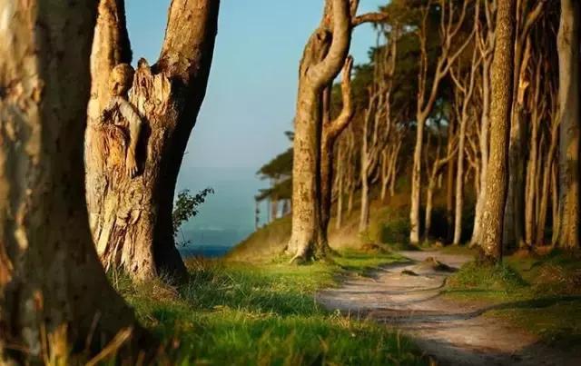 找出隐藏的少女,听说找到15个以上就是高智商!敢不敢试试?