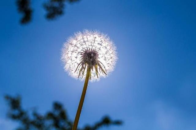 判断一个女人是否爱干净，看她家里这3个地方就够了，藏不住的