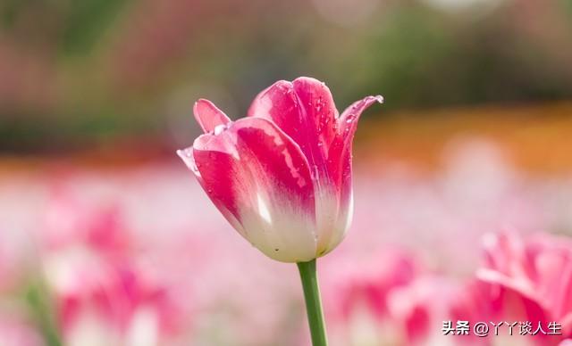人品越差的女人,越有这三个“特殊癖好”,千万别深交