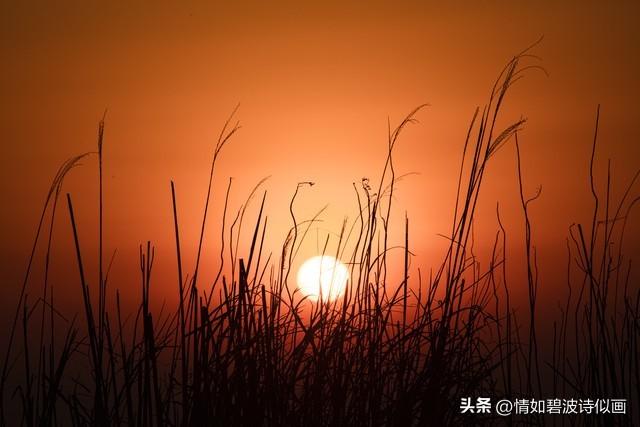 长篇小说:走出桃花村的女人之五十七:更上一层楼