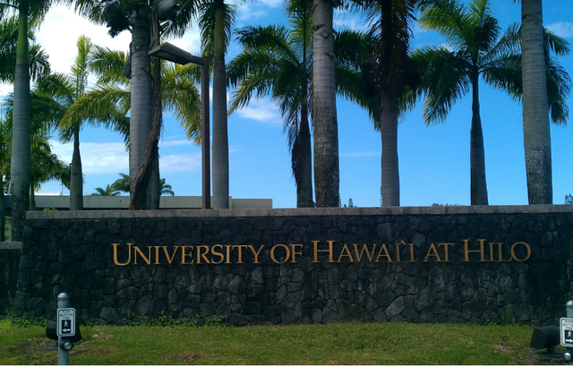 2008年,河南女孩刘雪华不顾反对嫁黑人,婚后得知他是奥巴马弟弟