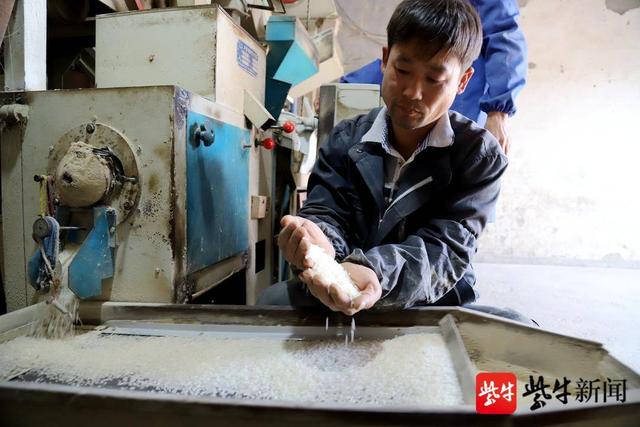 身边的模范！身残志坚的张来化兴办农副产品收购部服务乡邻