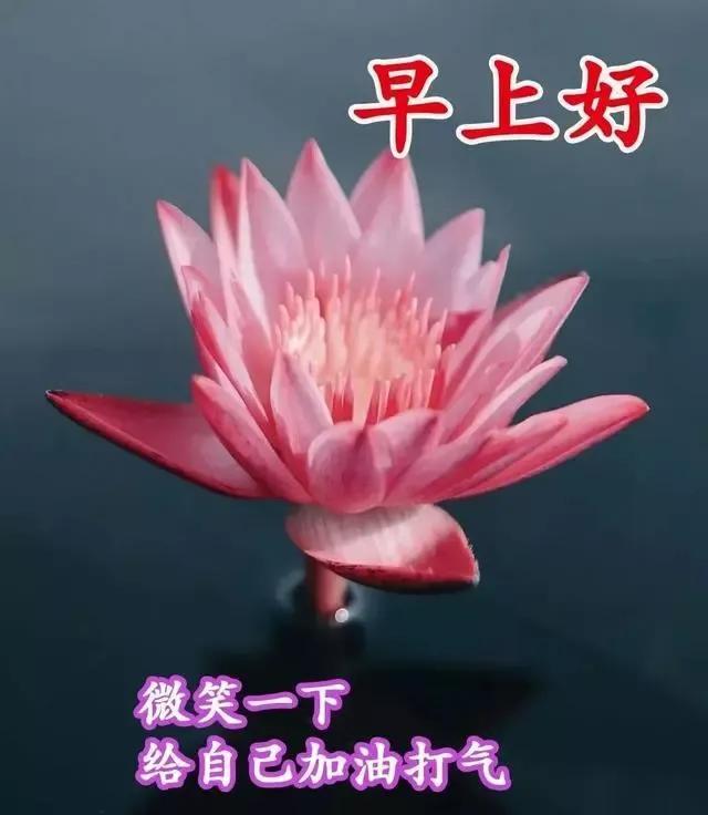 早安图文分享：微笑一下给自己加油打气