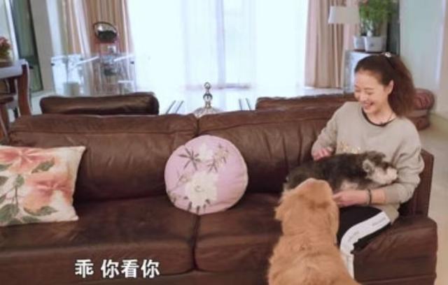 人美心善！港知名女星晒万尺豪宅再添新宠，独居北京不婚不生