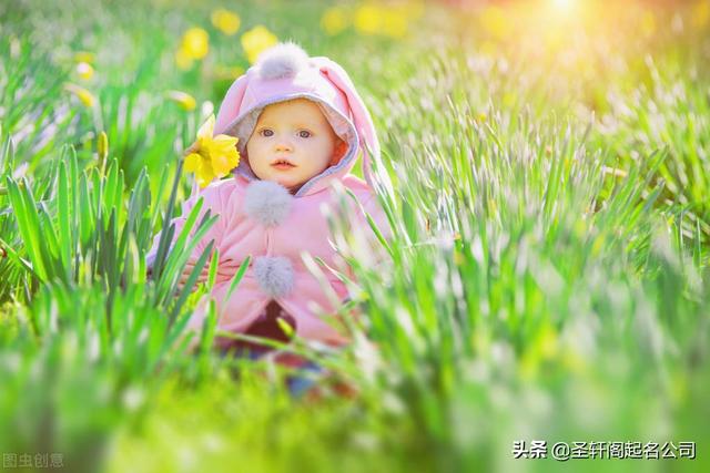 女孩起名 尊贵、富有智慧的女孩名字大全