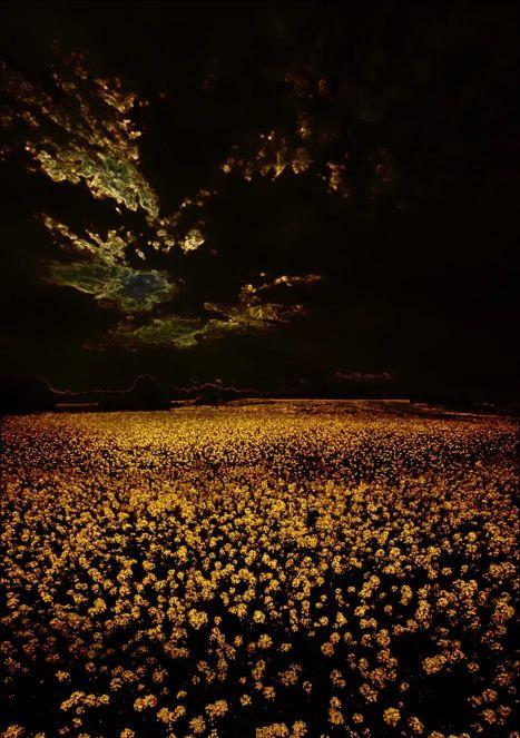 流量岁月里最美的一百首诗歌,献给擦肩而去的2020