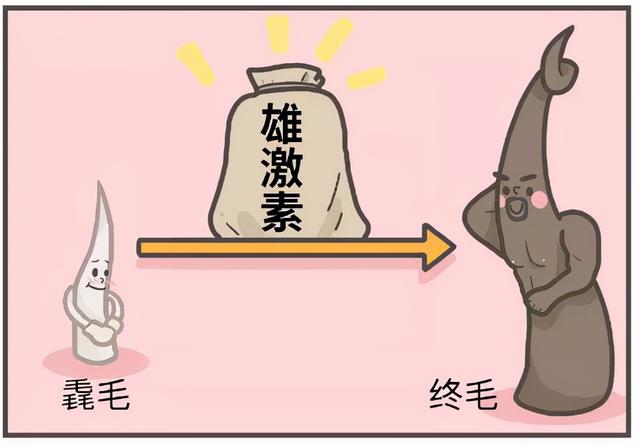 女生为什么也有那么多体毛啊?