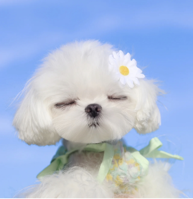 好看的女生头像，看看你喜欢哪一张