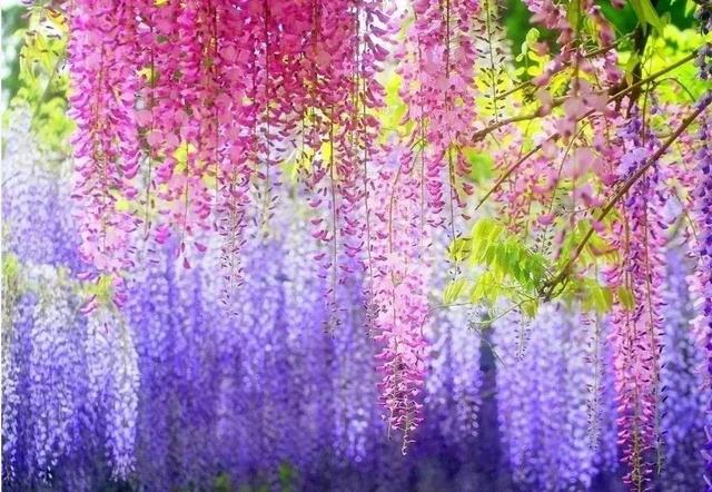 你是我的女人(5.20寄与曾经的爱情)