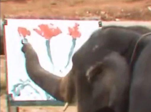 一位47岁美女的受虐实录