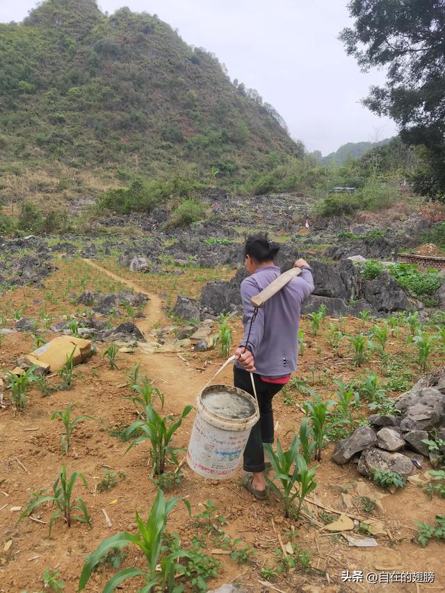 一个50岁的女人