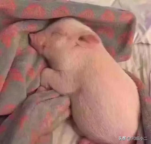 给你点烟又劝你少抽的女人,是疼你爱你无怨无悔的女人