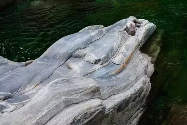 找出隐藏的少女,听说找到15个以上就是高智商!敢不敢试试?