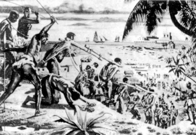 找茬游戏：今天轮到棉花了？