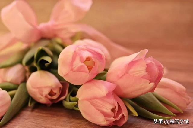 女性成长｜适合社恐女孩的10大副业，建议收藏