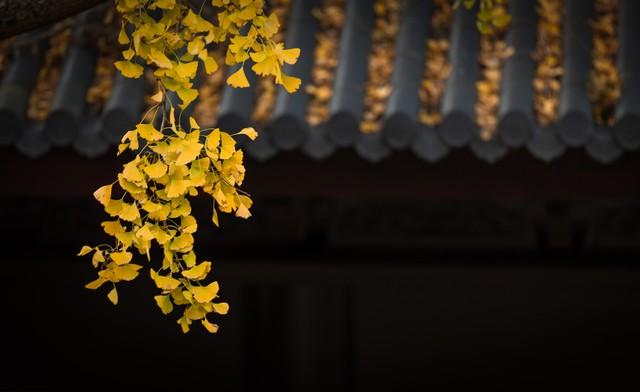 男人的心事你别猜：“聪明的女人要懂得男人在想什么”？