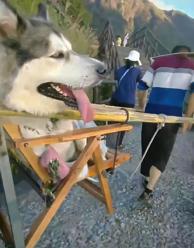 越南新娘,13万就被卖给45岁粗汉,要往娘家偷寄钱,细扒一言难尽