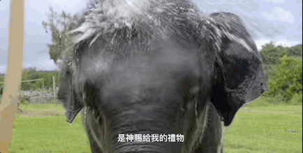 华人之光！全网刷屏的奥斯卡影后，但我只能为杨紫琼高兴5分钟