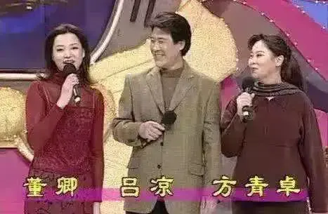 央视10大美女主持人,个个才貌双全,董卿知性,海霞端庄