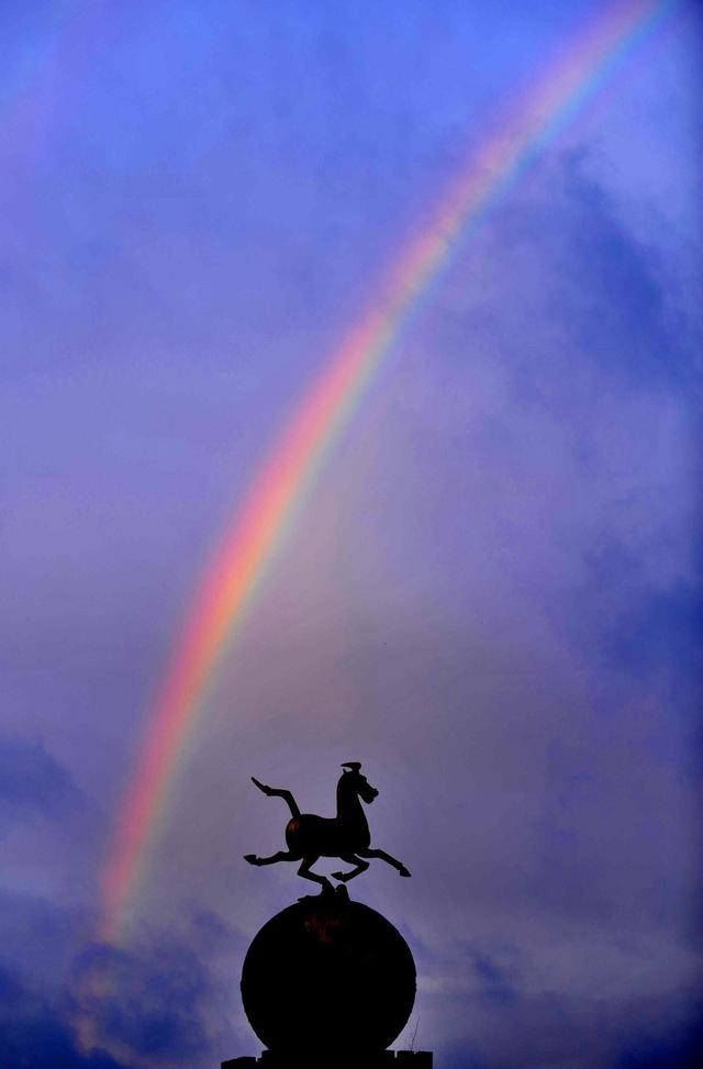 小说……一见钟情—闪婚