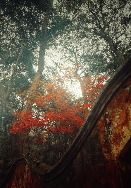 已婚女人出轨后，有以下五种表现