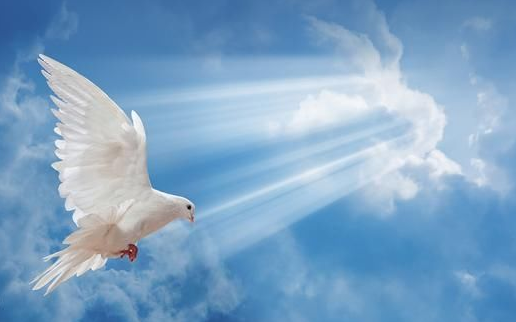 你是我的女人(5.20寄与曾经的爱情)