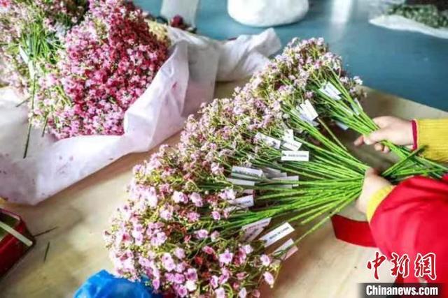 甘肃华亭“巧手女人坊”：仿真花“香飘”海外 望来年“春暖花开”