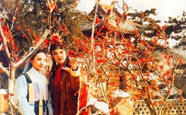 《红楼梦》中的三大苏州美女，命运悲苦让人无限同情