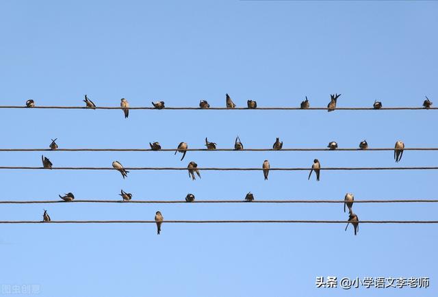 关于部编版小学语文教材,我忍不住要吐槽一下,你赞同哪一点?