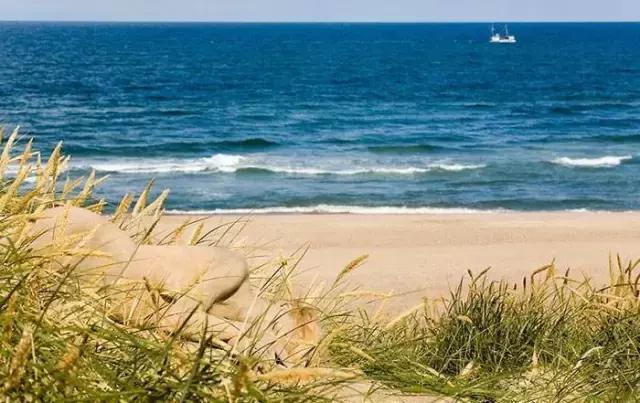 找出隐藏的少女,听说找到15个以上就是高智商!敢不敢试试?