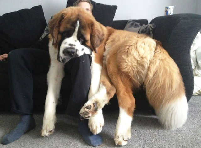 98年美国女子在家赤裸身亡，留下180处伤口，一张照片成破案关键